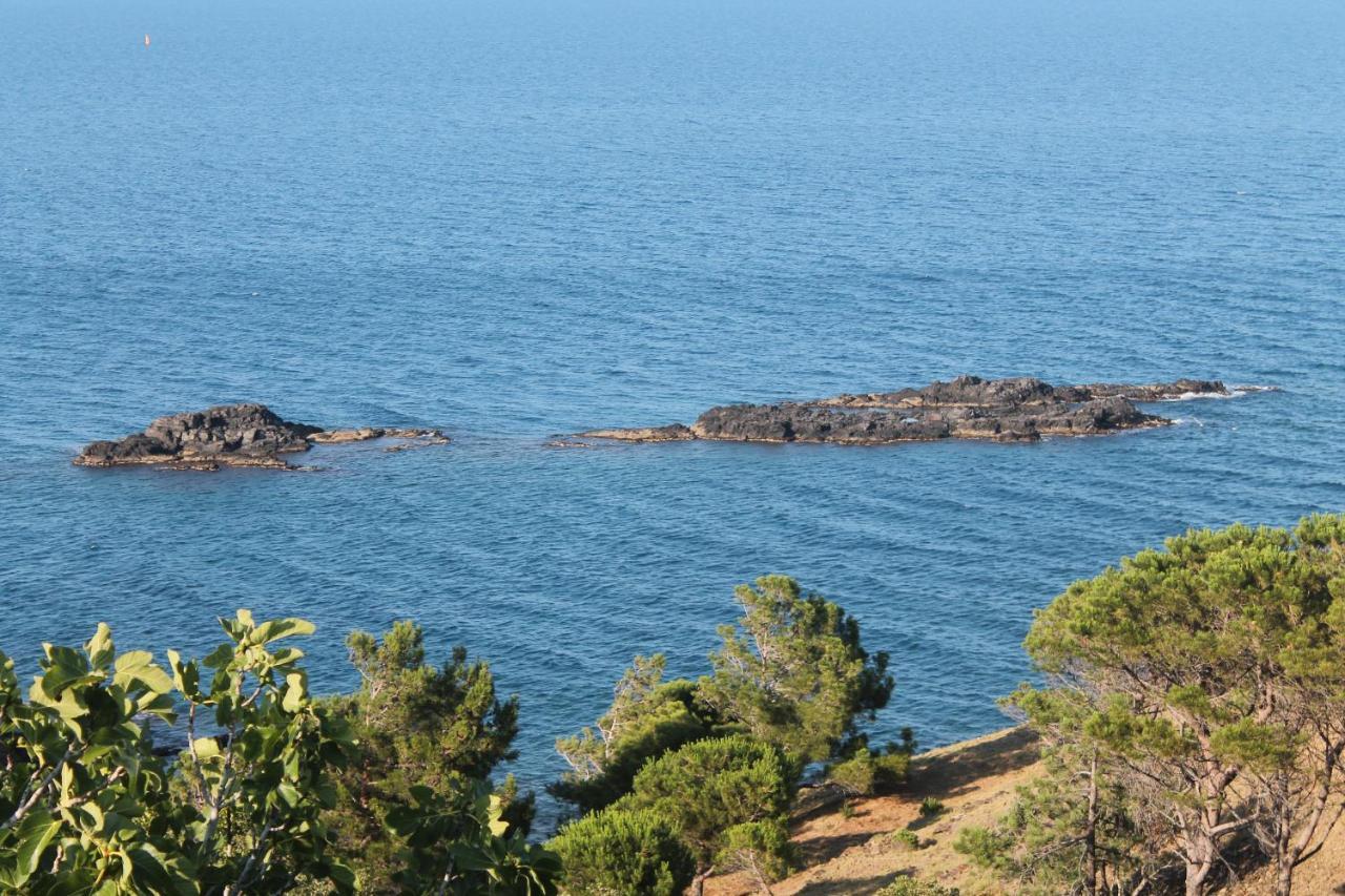 Appartement Vue Mer El Farniente Cerbère Kültér fotó